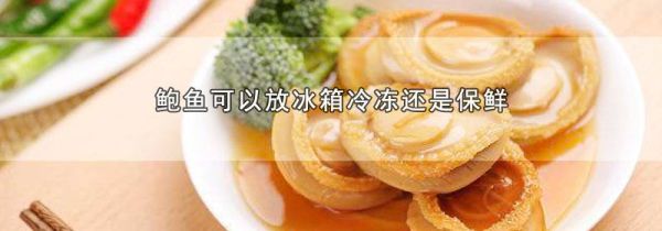 鲍鱼可以放冰箱冷冻还是保鲜