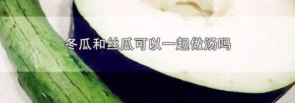 冬瓜和丝瓜可以一起做汤吗