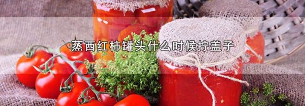 蒸西红柿罐头什么时候拧盖子