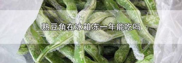 熟豆角在冰箱冻一年能吃吗