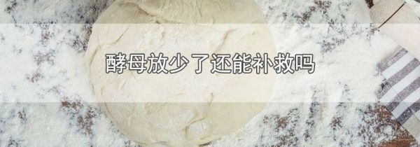 酵母放少了还能补救吗