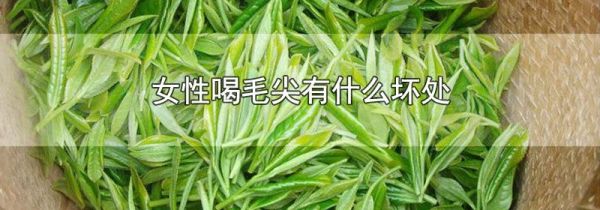 女性喝毛尖有什么坏处