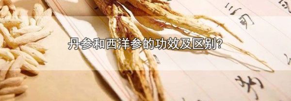 丹参和西洋参的功效及区别?