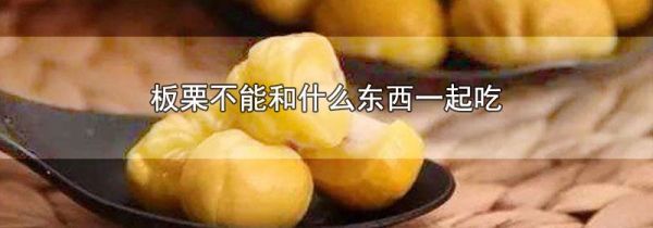 板栗不能和什么东西一起吃