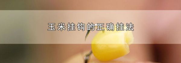 玉米挂钩的正确挂法