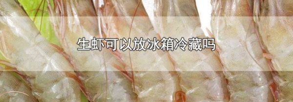 生虾可以放冰箱冷藏吗