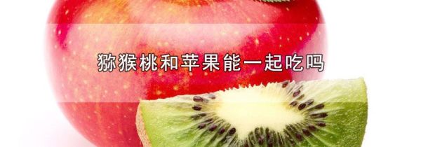 猕猴桃和苹果能一起吃吗