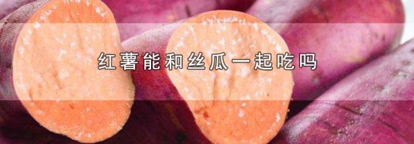 红薯能和丝瓜一起吃吗