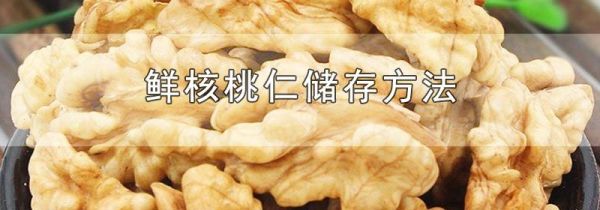 鲜核桃仁储存方法