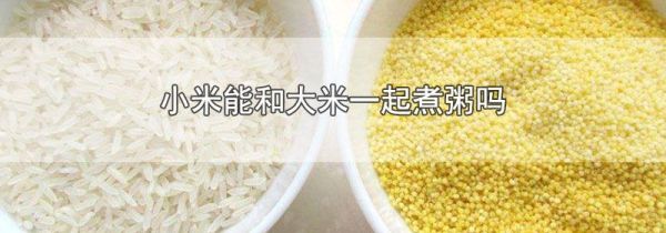 小米能和大米一起煮粥吗