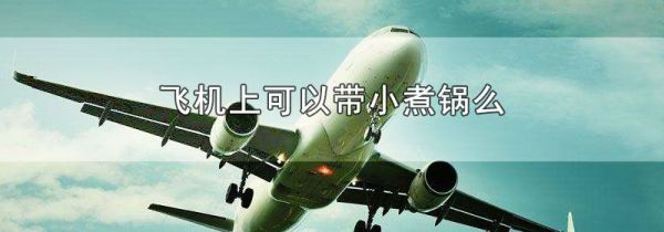 飞机上可以带小煮锅么