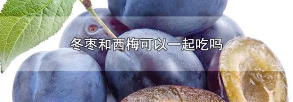冬枣和西梅可以一起吃吗