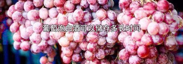 葡萄泡白酒可以储存多长时间