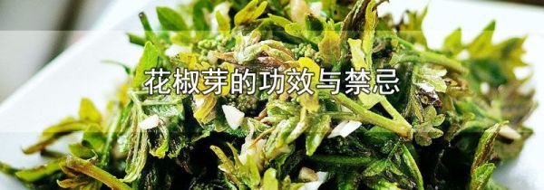 花椒芽的功效与禁忌
