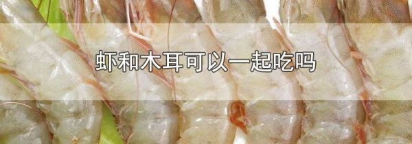 虾和木耳可以一起吃吗