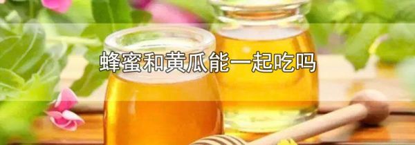 蜂蜜和黄瓜能一起吃吗