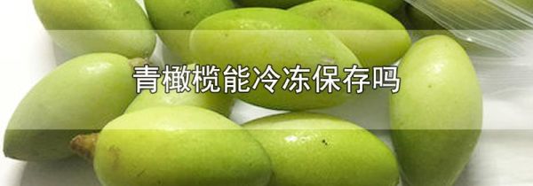 青橄榄能冷冻保存吗