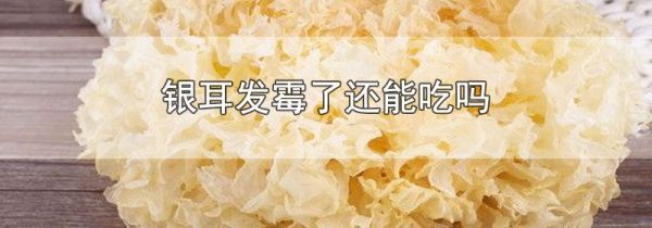 银耳发霉了还能吃吗
