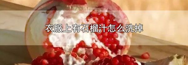 衣服上有石榴汁怎么洗掉