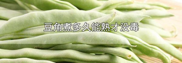 豆角煮多久能熟才没毒