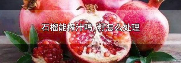 石榴能榨汁吗,籽怎么处理