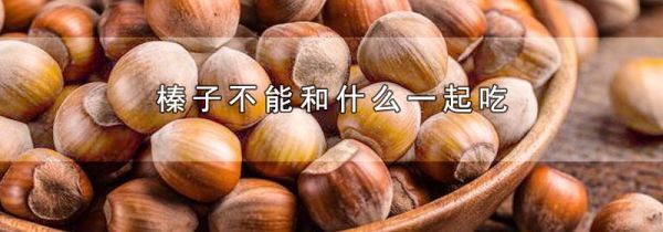 榛子不能和什么一起吃