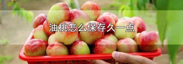 油桃怎么保存久一点