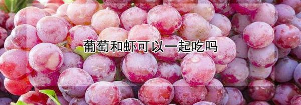 葡萄和虾可以一起吃吗