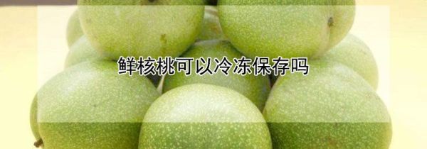 鲜核桃可以冷冻保存吗