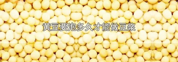 黄豆要泡多久才能做豆浆