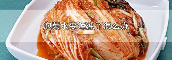 泡菜水变浑浊了怎么办