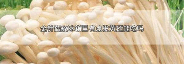 金针菇放冰箱里有点发黄还能吃吗