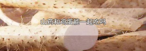 山药和鸡蛋能一起吃吗
