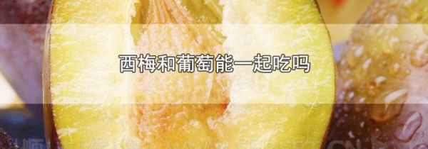 西梅和葡萄能一起吃吗