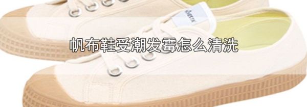 帆布鞋受潮发霉怎么清洗
