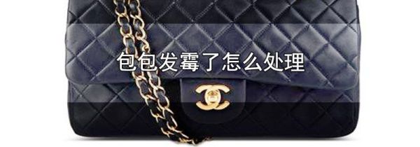 包包发霉了怎么处理