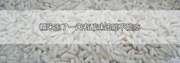糯米泡了一天有酸味还能不能吃