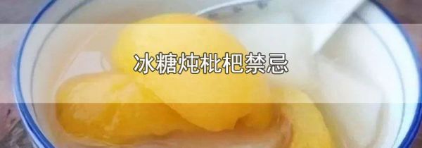 冰糖炖枇杷禁忌
