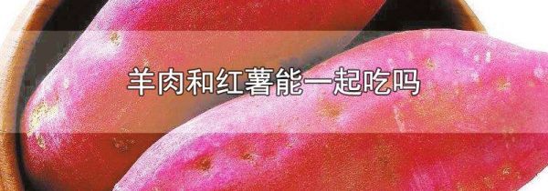 羊肉和红薯能一起吃吗
