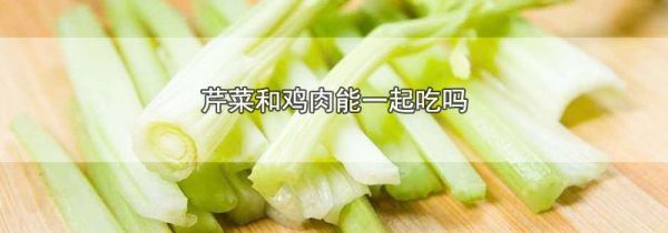 芹菜和鸡肉能一起吃吗