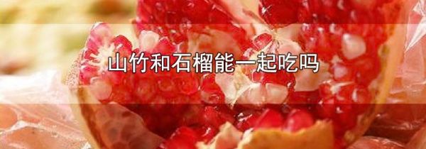 山竹和石榴能一起吃吗