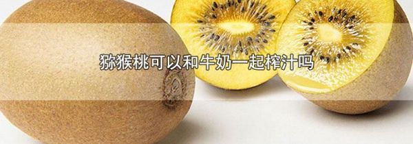 猕猴桃可以和牛奶一起榨汁吗