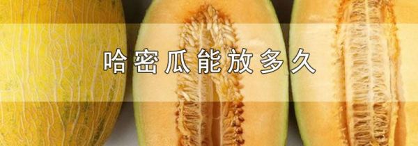 哈密瓜能放多久