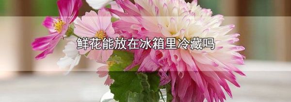鲜花能放在冰箱里冷藏吗
