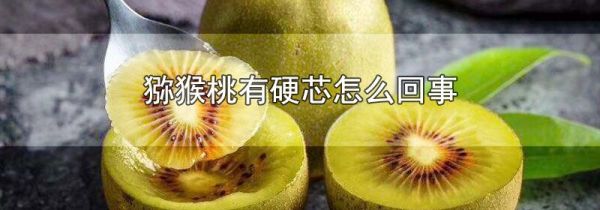 猕猴桃有硬芯怎么回事