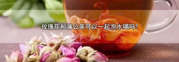 玫瑰花和蒲公英可以一起泡水喝吗?