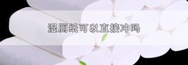 湿厕纸可以直接冲吗