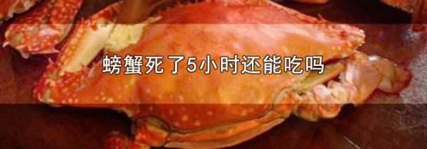 螃蟹死了5小时还能吃吗