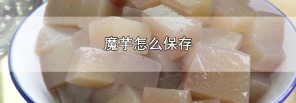 魔芋怎么保存
