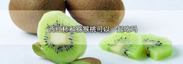 西红柿和猕猴桃可以一起吃吗